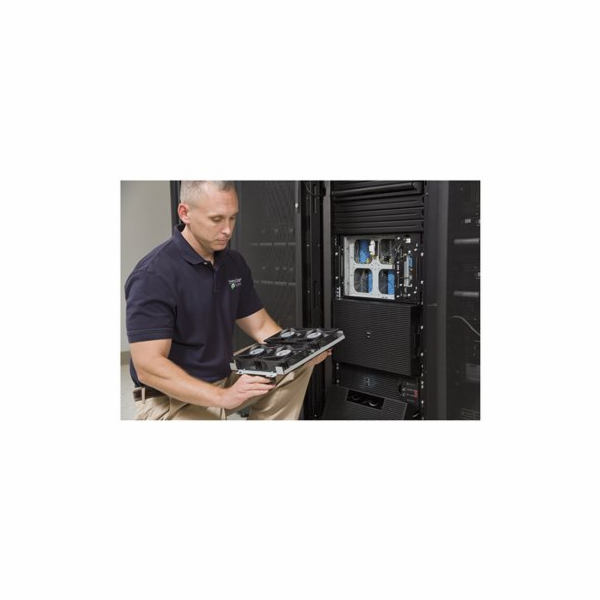 Schneider Electric Critical Power & Cooling Services 1P A...