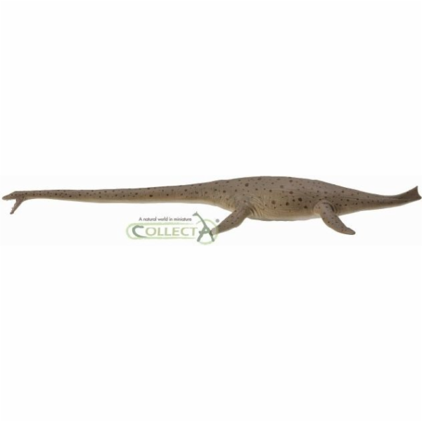 Figurka Collecta Dinosaur Thalassomedon 1:40 (004-88760)