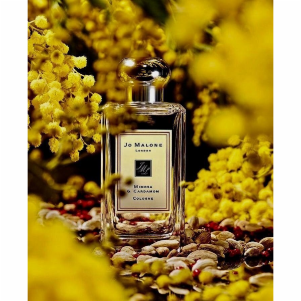 JO MALONE DŘEVĚNÁ šalvěj & mořská sůl EDC/S (W) 100ml