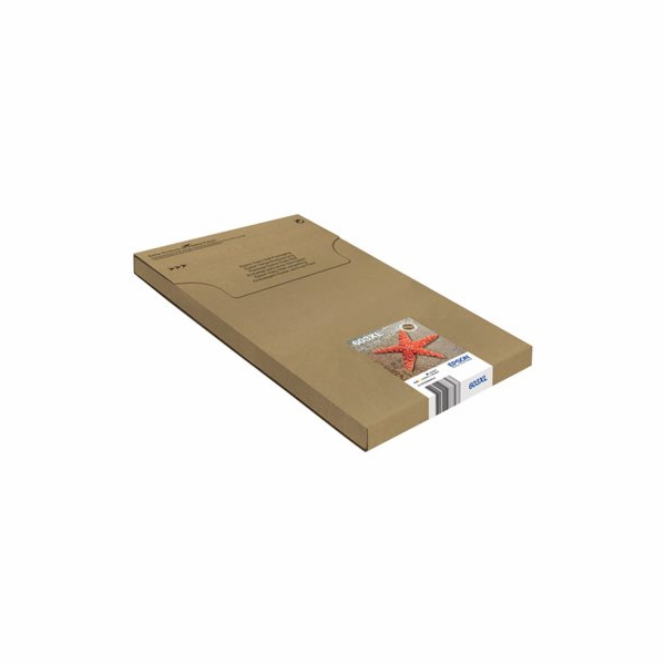 Epson 603XL Multipack Easy Mail Packaging - 4-balení - XL...