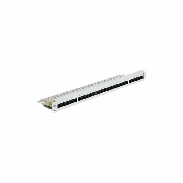 Delock - Propojovací panel - CAT 3 - RJ-45 X 25 - světle ...