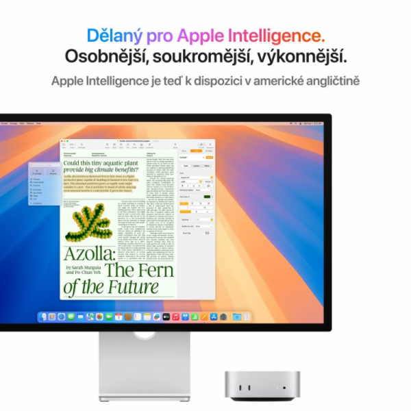 APPLE Mac mini M4 chip 10-core CPU and 10-core GPU, 16GB,...