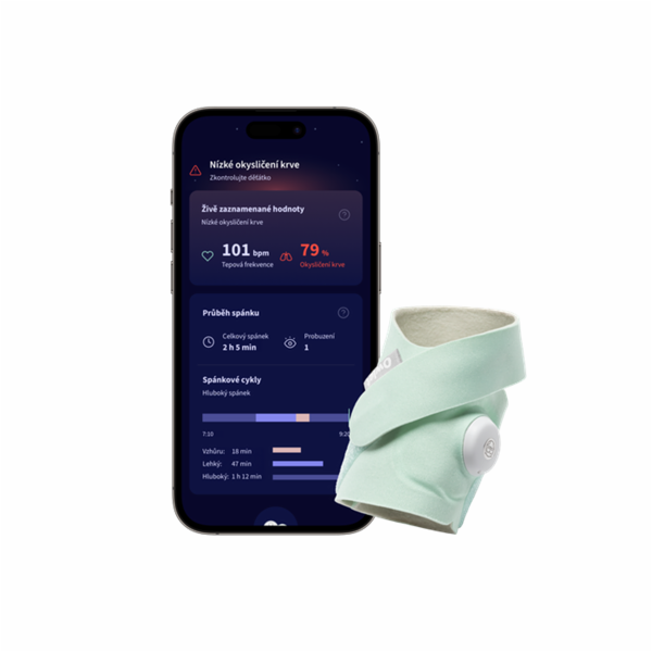 Owlet Dream Sock - Original Mint