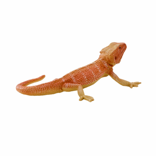 Mojo Agama