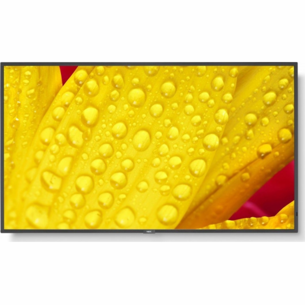 60006083, MultiSync M431-2
