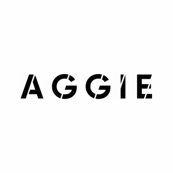 AGGIE_Bronzer stick 8,5g