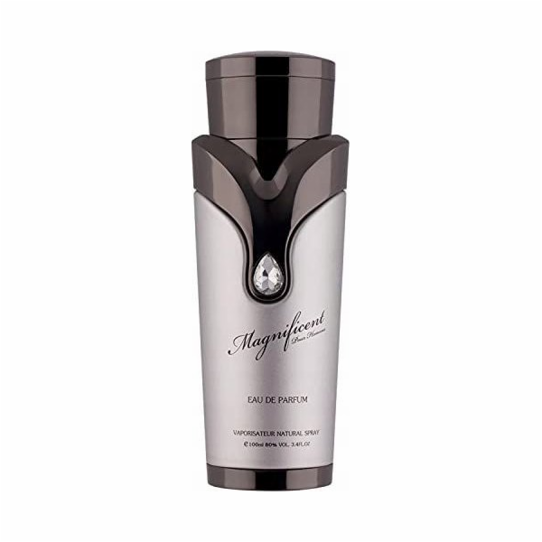 Armaf ARMAF MAGNIFICENT (M) EDP/S 100ML