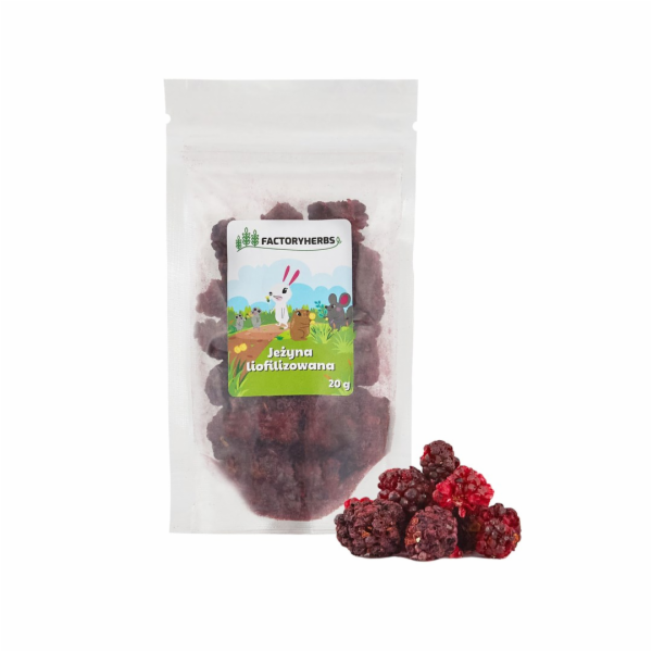 FACTORY HERBS Freeze-dried blackberry - lahůdka pro hloda...