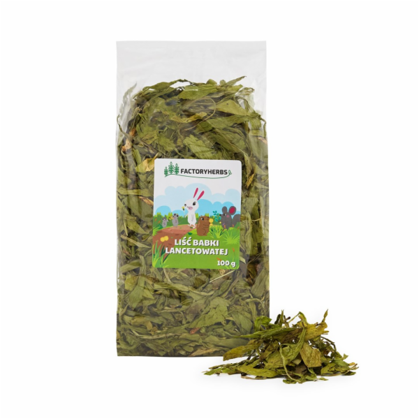 FACTORY HERBS Ribwort plantain leaves - lahůdka pro hloda...