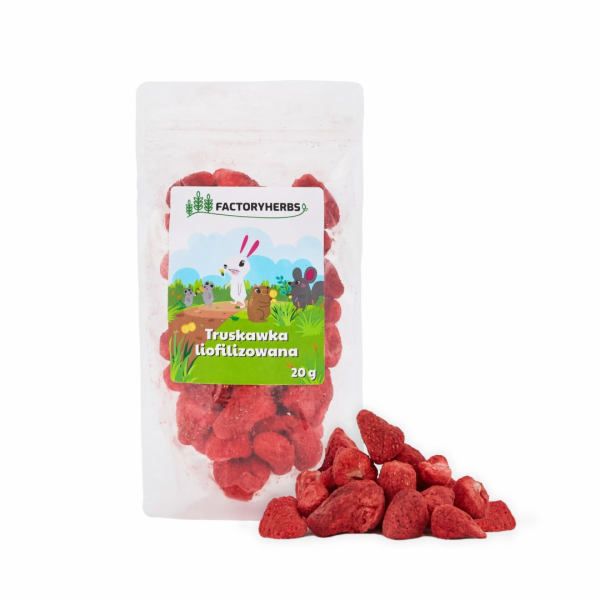 FACTORY HERBS Freeze-dried strawberries - lahůdka pro hlo...
