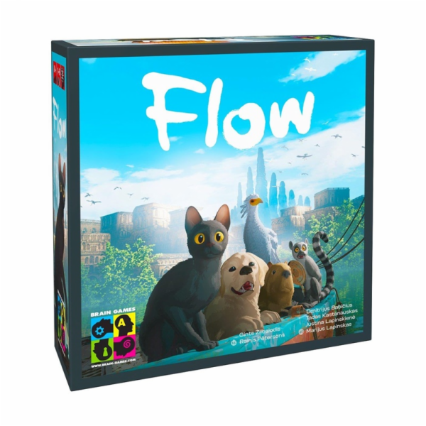 Stolní hra Brain Games Flow BRG#FLOW