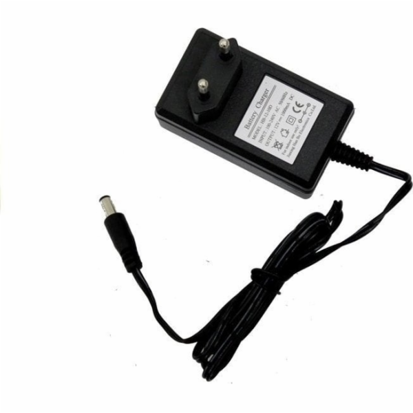 Leantoys 12V nabíječka 1000 mA pro auto pro baterii s LED