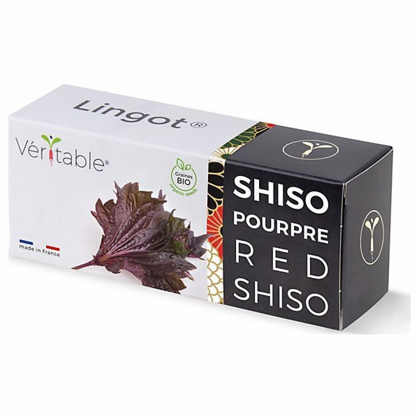 Véritable Lingot Fialový shiso - BIO