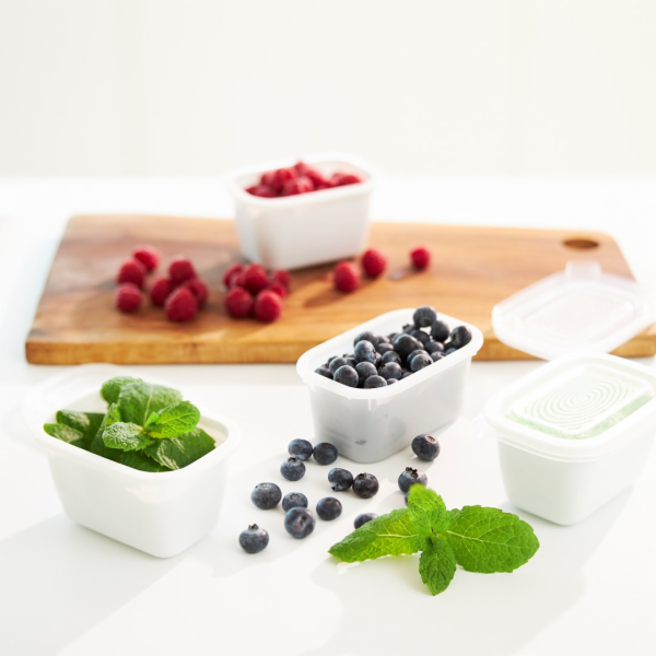 ROTHO Freeze - nádoba na zmrazování - 6x250ml