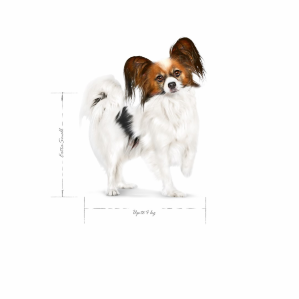ROYAL CANIN Adult x- small SHN - suché krmivo pro psy - 0...