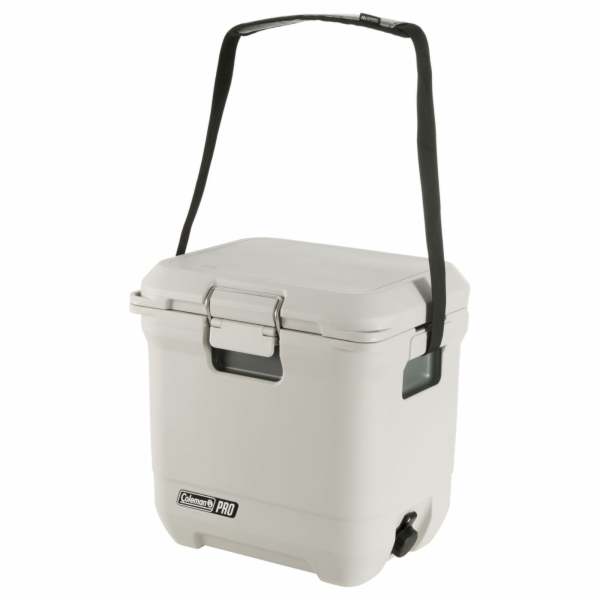 Coleman Pro 25QT