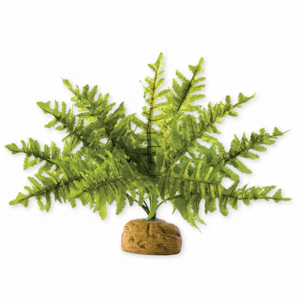 Hagen HAG.ROSL.D/TERRAR.BOSTON GERN 22CM 2990 - 58780