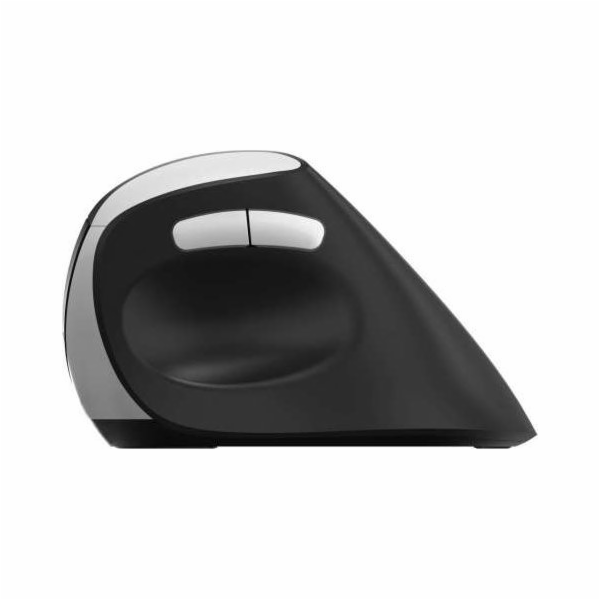 RAPOO Bezdrátová ergonomická myš EV250