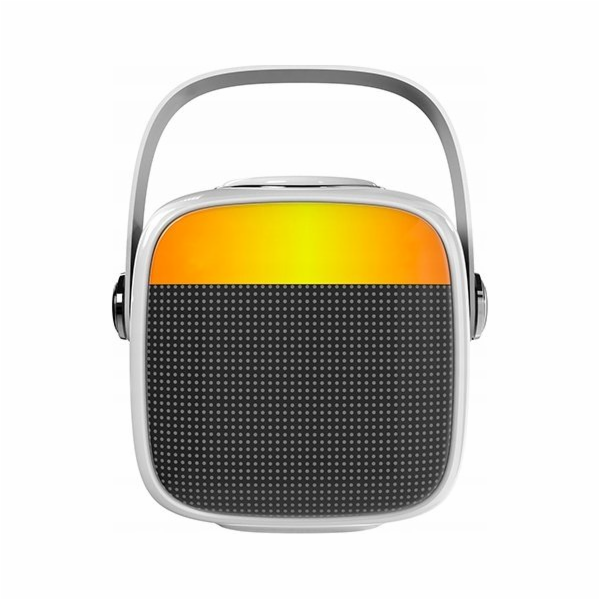 Adler Karaoke reproduktor AD1199W