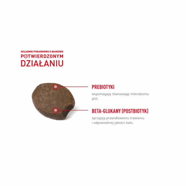 ROYAL CANIN Supplements Dog Digestion Adult - vitamíny pr...