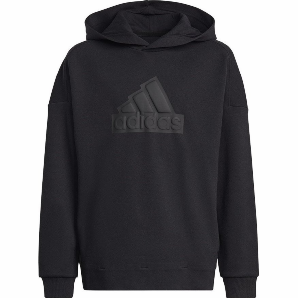 Mikina Adidas adidas FI Logo HD Jr HR6301