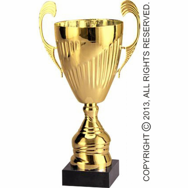 VS Cup kovový zlatý TS 7098B