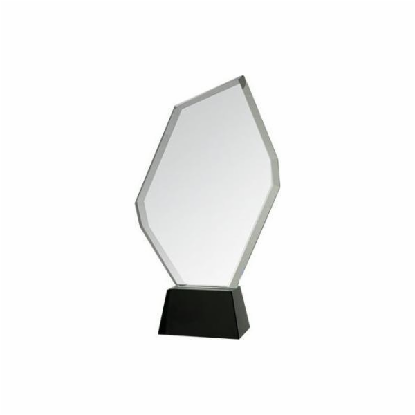 Triumph Glass Trophy s pouzdrem