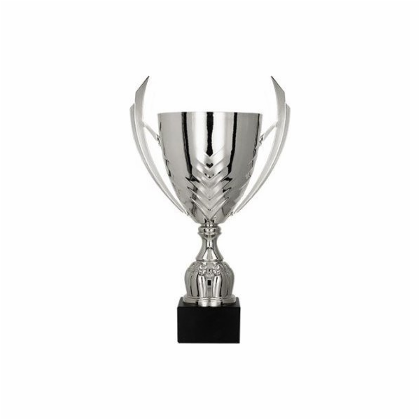 Victoria Sport Cup Metal Silver