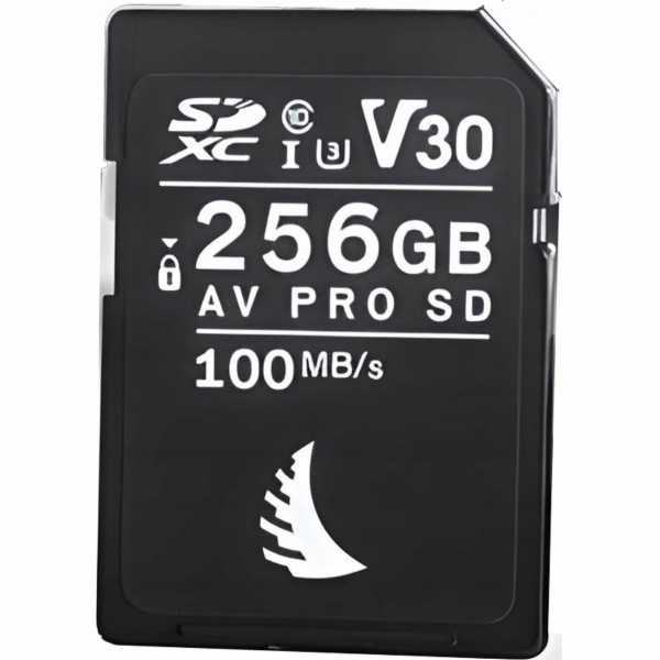 Angelbird AV Pro SDHC karta 256GB UHS-I/U3 V30 (AVP256SDV30)