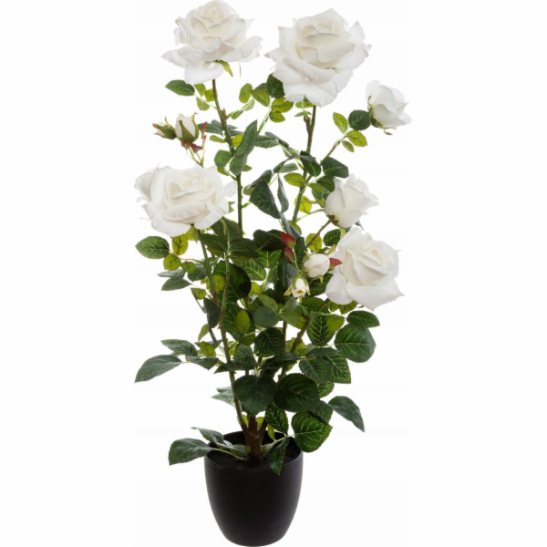Atmosphera Umělá hrnková rostlina ROSE BUSH, 74 cm, bílá