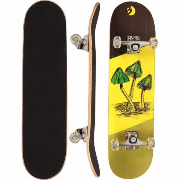 Skateboard Nejlepší sportovní skateboard dřevěné houby
