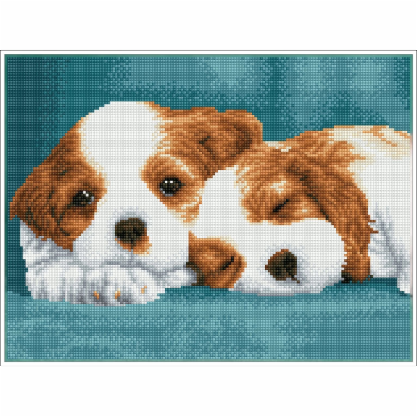 DIAMOND DOTZ Diamantové vyšívání Diamond Dotz Diamantová ...