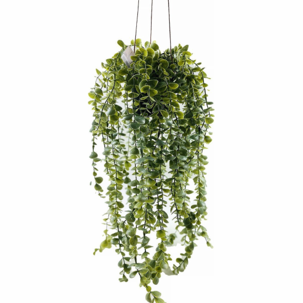 Umělá závěsná rostlina SENECIO, 60 cm