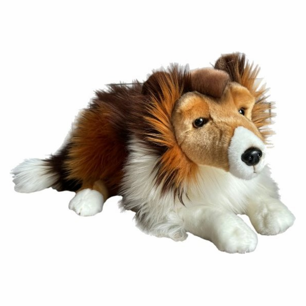Dubi skotský ovčák 61cm
