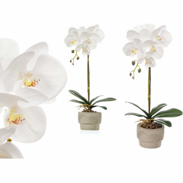 Ibergarden Umělá orchidej v cementovém květináči ORCHI, 5...