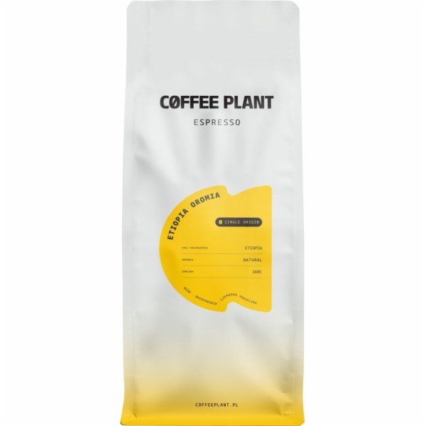 Kávovník Espresso Etiopie Oromia 1 kg