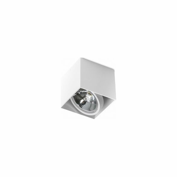 Stropní svítidlo Torino Alex 1x50W (GM4112)