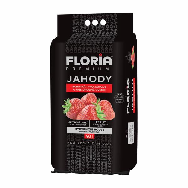 Substrát Agro  FLORIA pro jahody 40 l, otoč a sázej