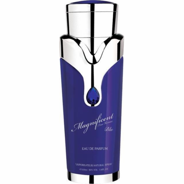 Armaf Magnificient Blue EDP 100 ml