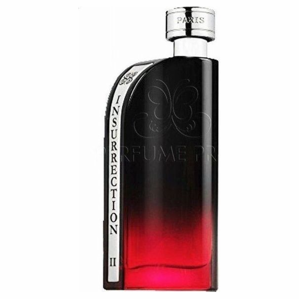 Reyane Tradition Insurrection II Dark EDT 90 ml