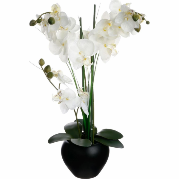 Atmosphera Orchidej v černém květináči 53 cm