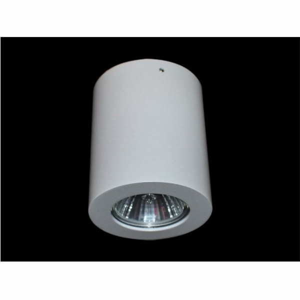 Azzardo Stropní svítidlo Boris 1x50W (gm4108wh)