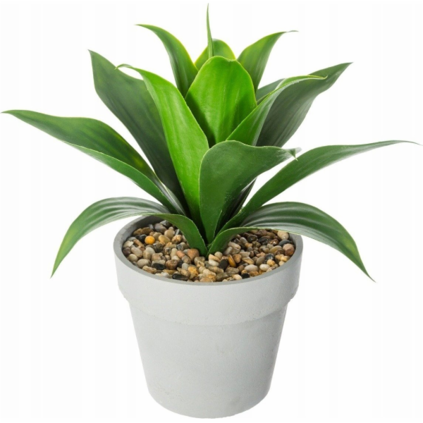 Atmosphera Umělá okrasná rostlina ALOE VERA, 34 cm, bílý ...