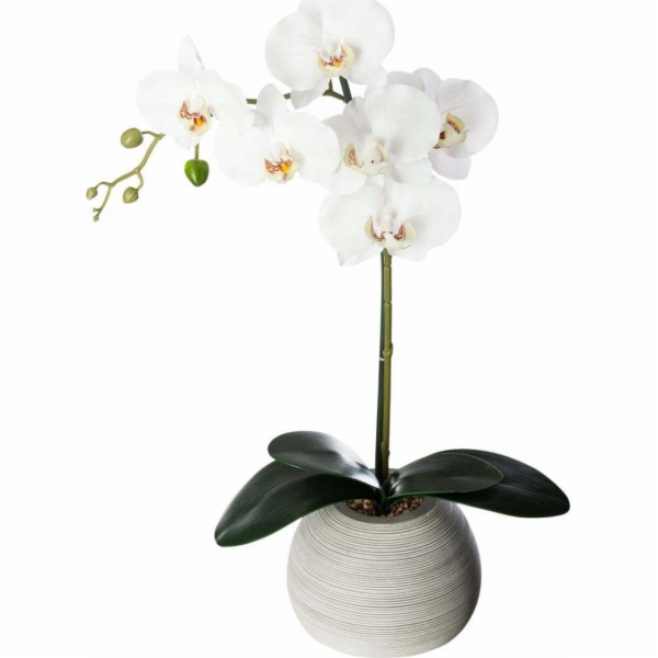 Atmosphera Květinová výzdoba "Cement touch" - orchidej s ...