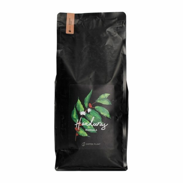 Coffee Plant Kávovník KÁVOVÁ ROSTLINA - Honduras La Paz M...