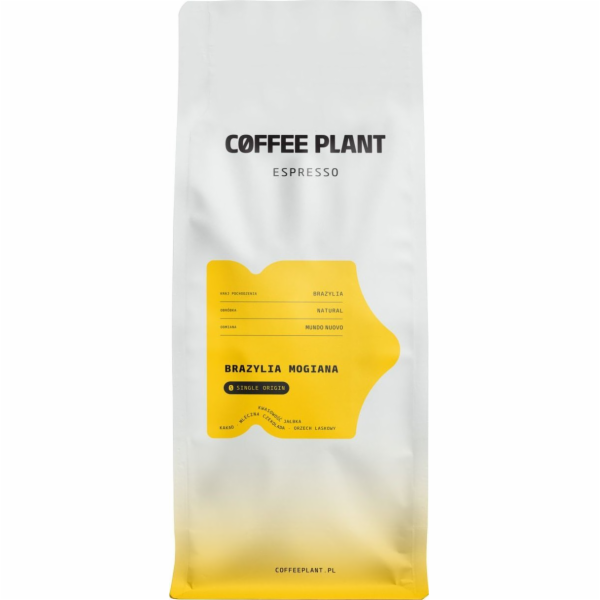 Coffee Plant Kávová rostlina Espresso Brazil Mogiana 1 kg...