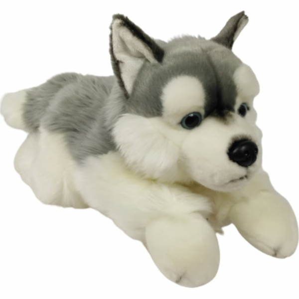 Dubi Maskot pes husky ležící velký plyšový medvídek 61 cm