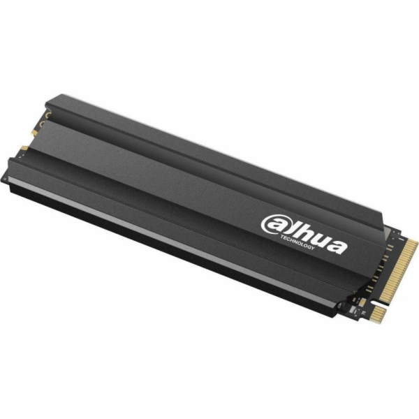 Dahua Technology E900 256GB M.2 2280 PCI-E x4 Gen3 NVMe S...