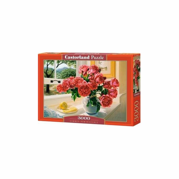 Castorland Puzzle 3000 Letní vzpomínka