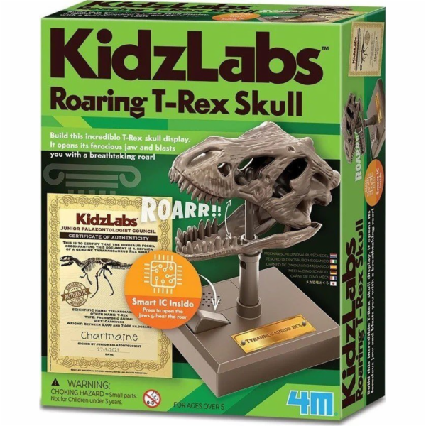 4M Vzdělávací sada Řvoucí lebka T-Rexe